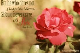 Beautiful Flowers In The Midwest With Quotes Photography Beautiful Flower Quotes Rose Quotes Flower Quotes