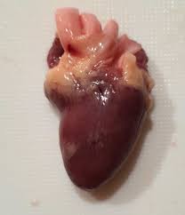 ふたばのブログ