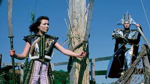 Bildergebnis für Ulrike Ottinger