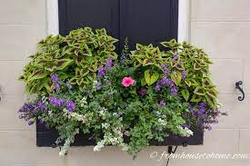 Check spelling or type a new query. Window Box Flower Combinations Flower Box Ideas Inspired By Charleston Window Boxes Gardening From House To Home