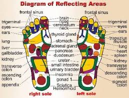 Info Titik2 Point Urutan Tapak Kaki Kinsoyoh Massage Therapy Centre Facebook