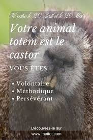 Animal Totem Castor 20 Avril 20 Mai Animaux Totems Animaux Totem