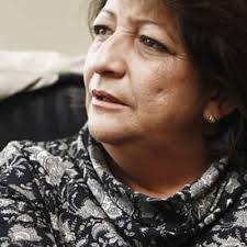 CNE dice que Congreso debe decidir sobre curul de G. Jiménez