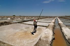 File:Marakkanam Salt Pans.JPG - 维基百科，自由的百科全书