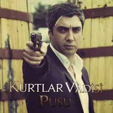 Kurtlarvadisi Vatan Home Facebook