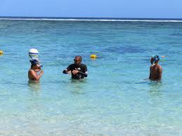 Image result for Lycium mascarenense