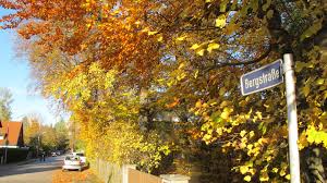 Finde günstige immobilien zum kauf in gauting. Bergstrasse Gauting Betrugsversuch Mit Falscher 2 Zi Wohnung Unser Wurmtal