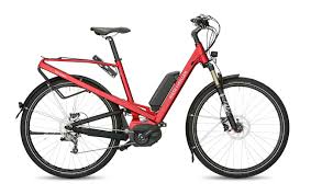 Riese Muller Homage Bike Bicycle Sport Ebike