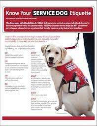 Pin On Psa Board For A Project