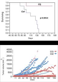 Visit us at booth #346, and enjoy a cold one on us! The Impact Of Autophagy On Pancreatic Ductal Adenocarcinoma Pdac Development Mit Comparative Media Studies Writing