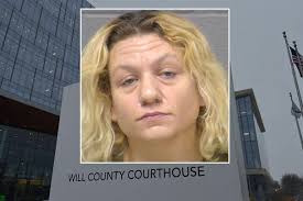 Authorities: Man harassed Wayne village president over Ludwig the dog  shooting