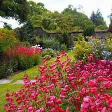 The Garden House Devon Places To Visit Uk English Garden Garden