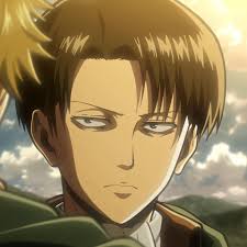 I've been wondering,how the hell was Levi able to spin like this while  attacking the titans? And don't say it's because he's an Arckerman. Mikasa  couldn't spin like that.