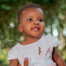 Profile for Kingsley Photography