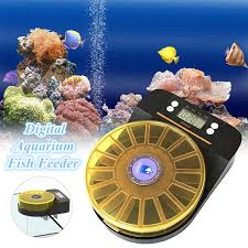 Check spelling or type a new query. Automatic Fish Feeder Digital Aquarium Fish Tank Feeder Plastic Electronic Timer Multilattice Drop Food Feeding Supply 200g Buy At The Price Of 52 58 In Aliexpress Com Imall Com