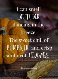 70 Best Spooky Halloween Captions Images Halloween Captions Happy Halloween Quotes Halloween Quotes Funny