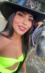 Música de Vallenato: Inspiración y Tradición