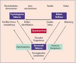 Die Verhutung Mit Einer Cma Haltigen Pille Bietet Zusatznutzen Kinder Und Jugendgynakologie