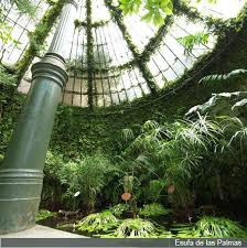 Real Jardin Botanico De Madrid Pagina Principal Real Jardin Botanico Jardin Botanico Madrid Jardin Botanico