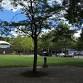 Annual Danbury Juneteenth Cultural Celebration