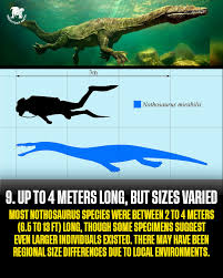 Image result for Nothosaurus