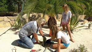 Die geissens robert außer rand und band: Die Geissens Rodelspass Vorm Alpenchalet Presseportal