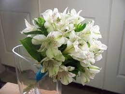 White Alstroemeria Summer Wedding Flower Alstroemeria Wedding Wedding Flowers Summer White Wedding Flowers Centerpieces