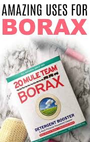 Amazing Uses For Borax Borax Cleaning Borax Uses Cleaning Hacks