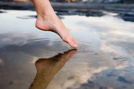 Exercises For Torn Ankle Ligaments Livestrong Com Ankle Ligaments Sore Ankle Torn Ligament In Ankle