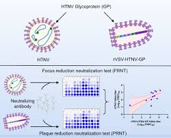 Image result for Neutralization Test