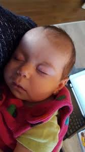 12 Postpartum Darla blogs for the new mom ideas