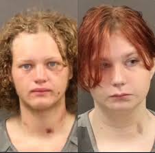 Two cited for burglary and minor in possession after being found in family  member's home