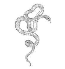 Hand Drawing Snake Vector Images Over 1 600 Uncategorizedhow to sketch realistic portraits (self.iwanttolearn). vectorstock