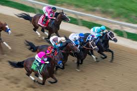 Free online streaming will rogers downs without ads. Us Racing Tips Templegate S Best Bets For The Meeting At Will Rogers Downs On At The Races On Tuesday