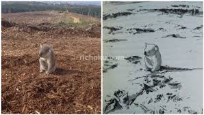 Novel koala kumal ini merupakan salah satu novel yang di tunggu tunggu oleh penggemar setianya. Resensi Buku Koala Kumal Raditya Dika 2 Richoku Com