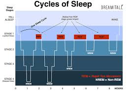 I Need To Fix My Sleep Rhythm Steemit