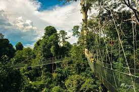 We are 90 minutes away from national park kuala koh and 2 hours away from cameron highlands. Kuala Koh National Park Kelantan Holidaygogogo