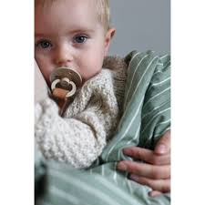 Bibs Baby Pacifier 0 6m 2pk In 2020 Baby Pacifier Baby Bibs Pacifier