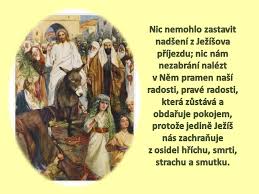 Květná neděle (latinsky dominica in palmis, palmare nebo též pašijová neděle latinsky de passione domini) je označení pro šestou a zároveň poslední neděli postní. Kvetna Nedele Prayers Ecard Meme Ecards