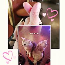 0729 貓咪版手指愛心 望安cafe Wangancafe 手指愛心 愛心手勢 Lovelove 貓咪 Cat Moneycat Manycat Anita