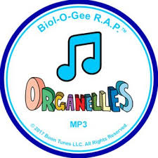 Maybe you would like to learn more about one of these? Organelles Mp3 Biol O Gee R A P Organelles How To Memorize Things Rap
