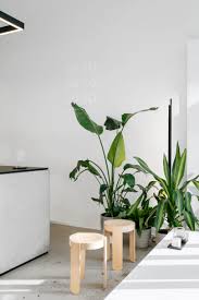Aeny Designs A Minimalist Coffee Shop For Scandinavian Brand Tornqvist