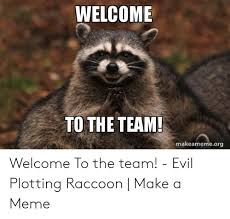 See more ideas about funny images, funny, bones funny. Welcome To The Team Makeamemeorg Welcome To The Team Evil Plotting Raccoon Make A Meme Meme On Me Me