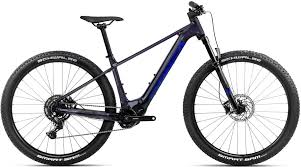 Image result for Orbea umbracula