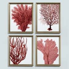 Petite Red Coral Art Ballard Designs Coral Wall Art Coral Art Coral Decor