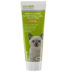 Newborn Kitten Care Basics What You Need To Know Now To Properly Care For Kittens Mobile