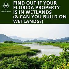 Waking up to wetlands know before you buy or build a helpful guide for determining wetlands. Find Out If Your Florida Property Is In Wetlands