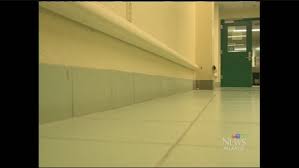 Call us for an emergency or chat with us online. Capital Health Admits To Widespread Rodent Problem Ctv News
