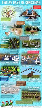 12 Days Of Christmas With Birdorable Birds Birds Cute Birds Twelve Days Of Christmas