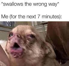 27 And Bathroom Break Dog For Go Hot Memes Ready Spicy To Your 27 Hot And 27 Hot And Spicy In 2020 Dog Memes Funny Dog Memes Funny Dogs